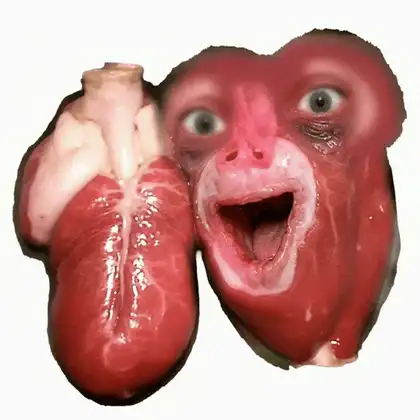 Heart Pig