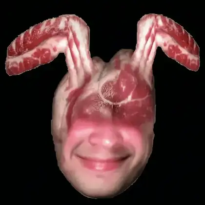 Rabbit
